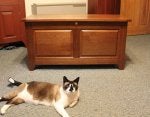 Cabinetry Cat Wood Felidae Carnivore